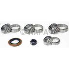Axle Differential Bearing and Seal Kit