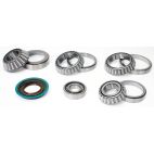 Differential Bearing & Seal Kit - Rear - H/D Truck