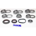 Differential Bearing & Seal Kit - Rear - H/D Truck