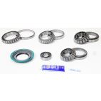 Differential Bearing & Seal Kit - Rear - H/D Truck