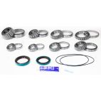 Differential Bearing & Seal Kit - Rear - H/D Truck