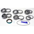 Differential Bearing & Seal Kit - Rear - H/D Truck