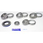 Differential Bearing & Seal Kit - Rear - H/D Truck