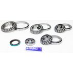 Differential Bearing & Seal Kit - Rear - H/D Truck