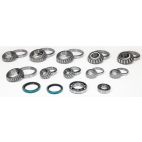 Differential Bearing & Seal Kit - Rear - H/D Truck