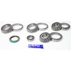 Differential Bearing & Seal Kit - Rear - H/D Truck