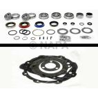 Transfer Case Bearing and Seal Overhaul Kit