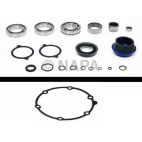Transfer Case Bearing and Seal Overhaul Kit