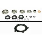 Transfer Case Bearing and Seal Overhaul Kit