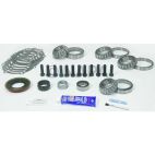 Axle Differential Bearing and Seal Kit