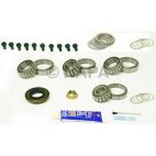 Axle Differential Bearing and Seal Kit