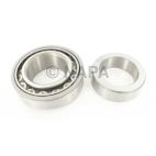Wheel Bearing