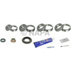 Axle Differential Bearing and Seal Kit