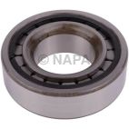 Differential Pinion Pilot Bearing