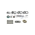 Axle Differential Bearing and Seal Kit