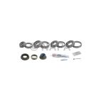 Axle Differential Bearing and Seal Kit