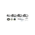 Axle Differential Bearing and Seal Kit