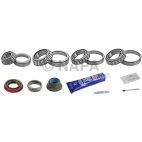 Axle Differential Bearing and Seal Kit