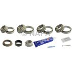 Axle Differential Bearing and Seal Kit