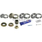 Axle Differential Bearing and Seal Kit