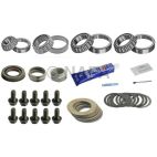 Axle Differential Bearing and Seal Kit