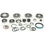 Transfer Case Bearing and Seal Overhaul Kit