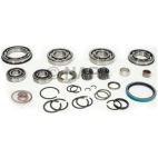 Transfer Case Bearing and Seal Overhaul Kit