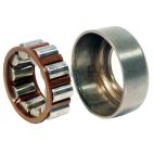Manual Transmission Countershaft Bearing