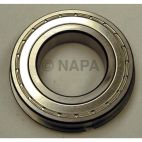 Transfer Case Output Shaft Bearing