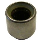 Clutch Pilot Bearing