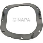 Fuel Pump Gasket