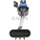 Fuel Pump Wiring Harness