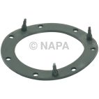 Fuel Pump Gasket