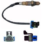 Oxygen (O2) Sensor