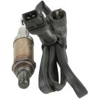 Oxygen (O2) Sensor