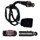 Oxygen (O2) Sensor