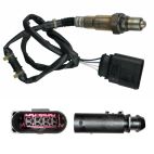 Oxygen (O2) Sensor