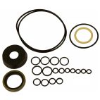 Snowplow Hydraulic Cylinder Seal Kit