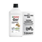 Castrol GO! 4T 10W40 4-Cycle Oil - 1 qt