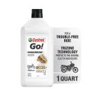 Castrol GO! 4T 20W50 4-Cycle Oil - 1 qt