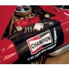 Fender Cover Vinyl