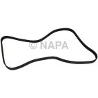Serpentine Belt