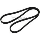 Serpentine Belt