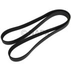 Serpentine Belt