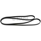 Serpentine Belt