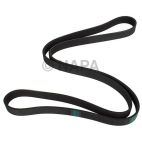 Serpentine Belt