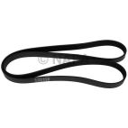 Serpentine Belt