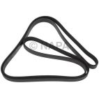 Serpentine Belt