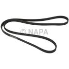 Serpentine Belt