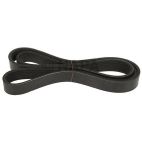 Serpentine Belt